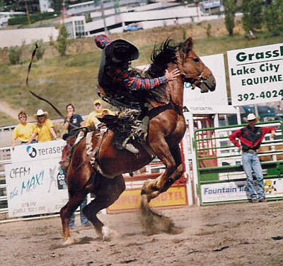 Rodeo in Williams Lake